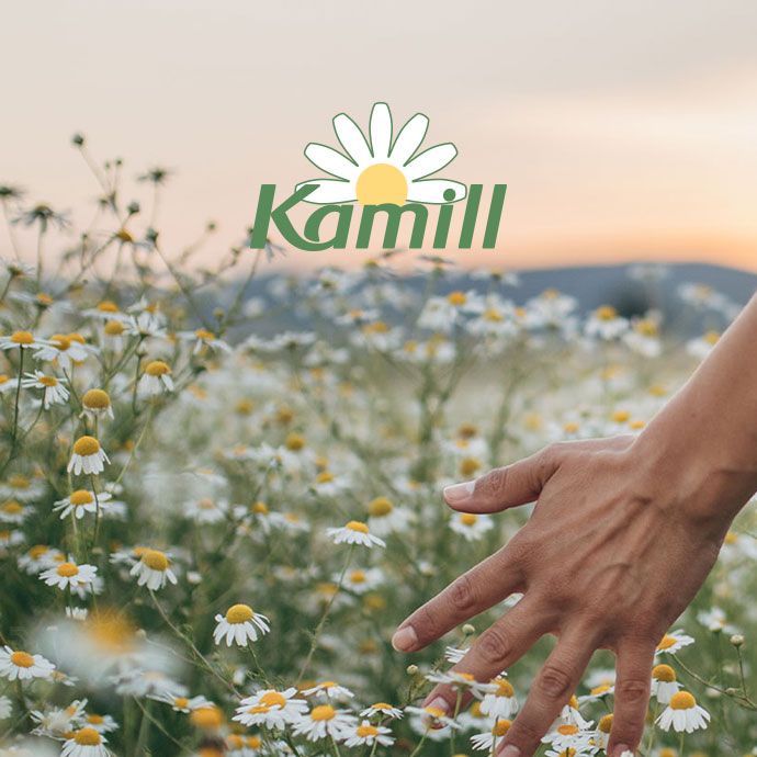 Kamill Teaserbild