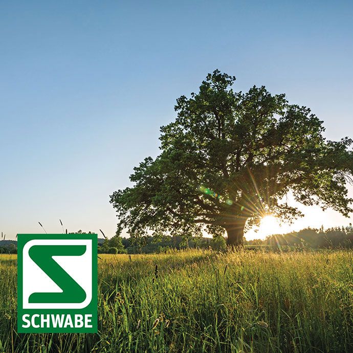Referenz Schwabe